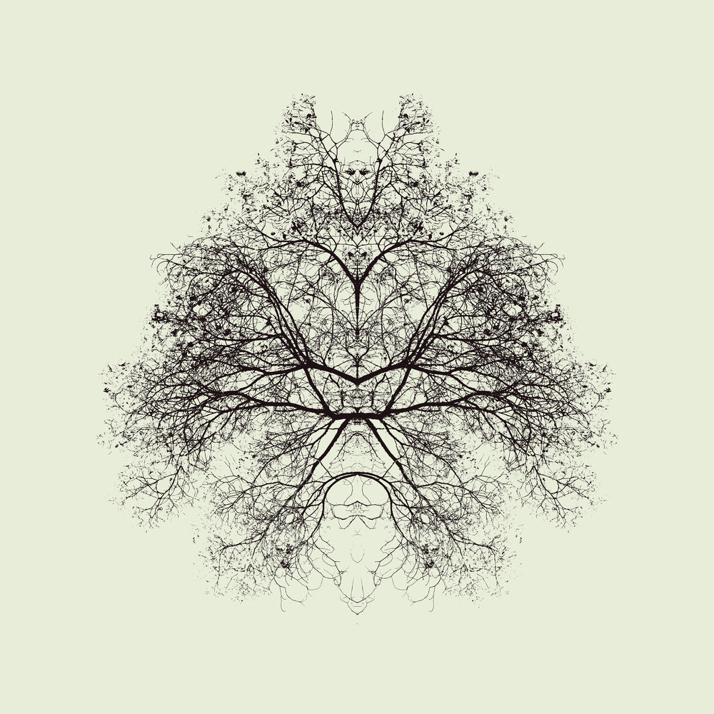 photo-wallpaper-rorschach-test