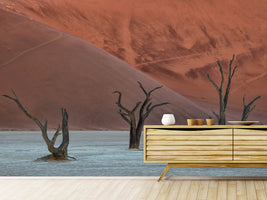 photo-wallpaper-deadvlei-xof