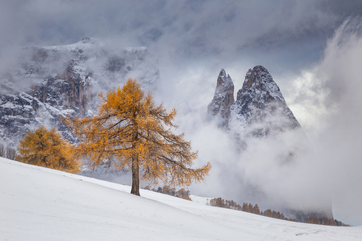 photo-wallpaper-between-seasons-x