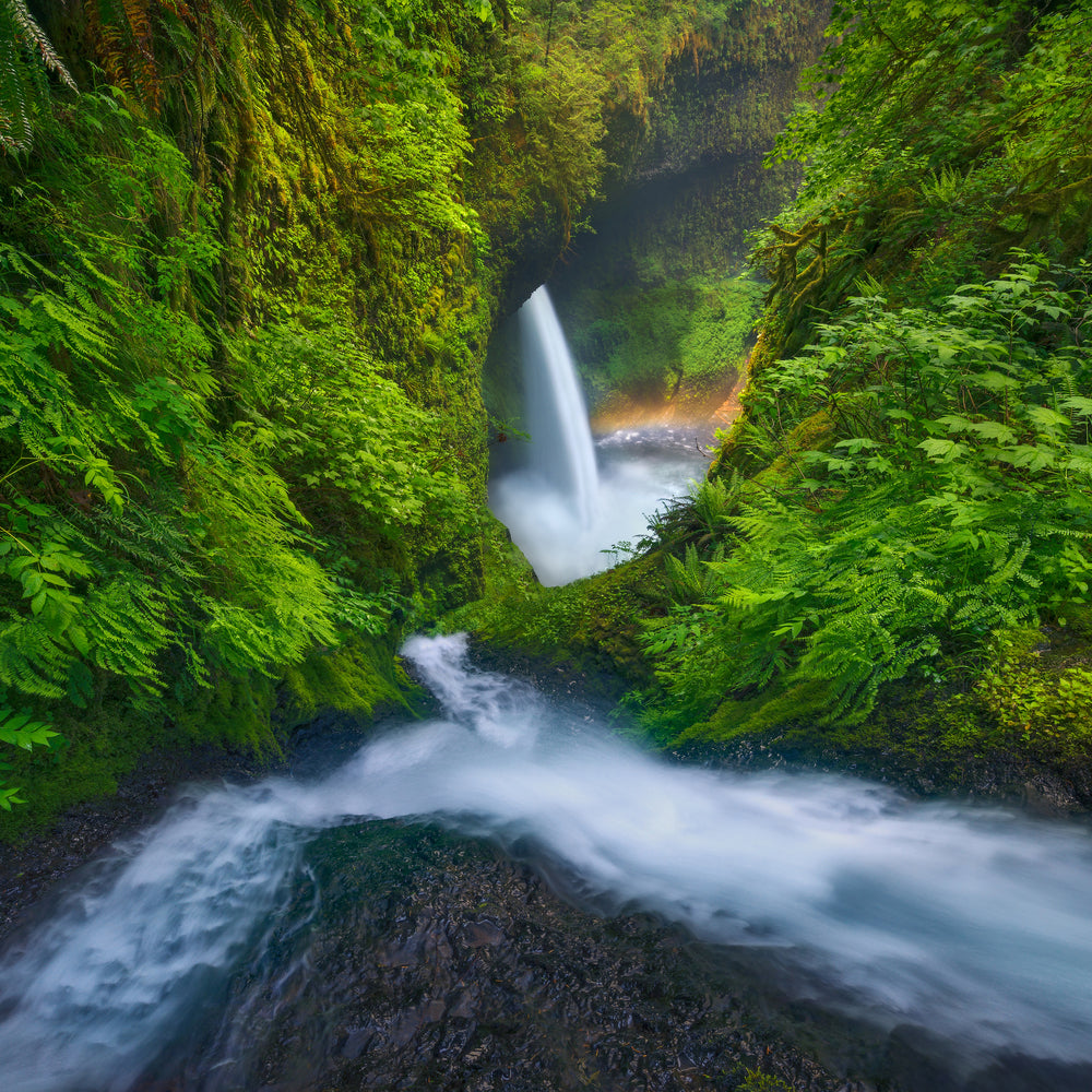 photo-wallpaper-rainbow-in-the-mist-x