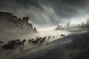 photo-wallpaper-migration-x