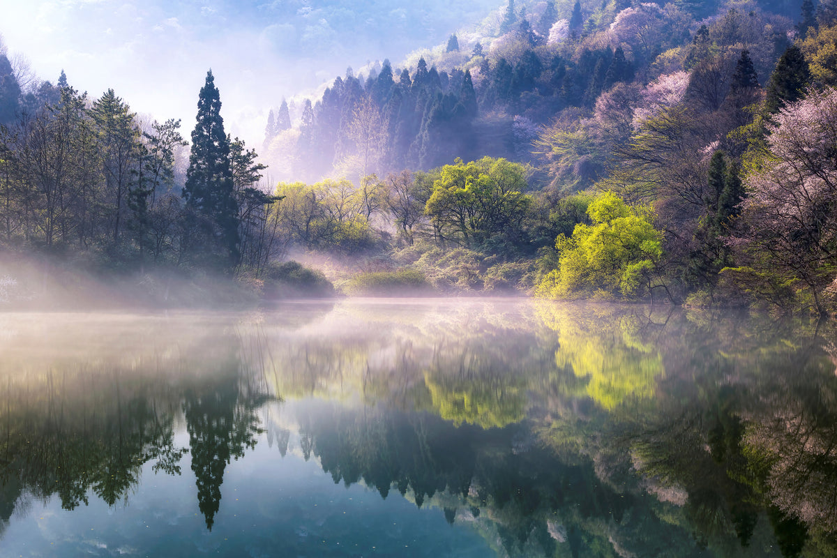 photo-wallpaper-morning-calm