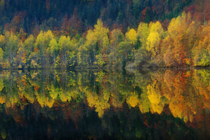 photo-wallpaper-autumnal-silence