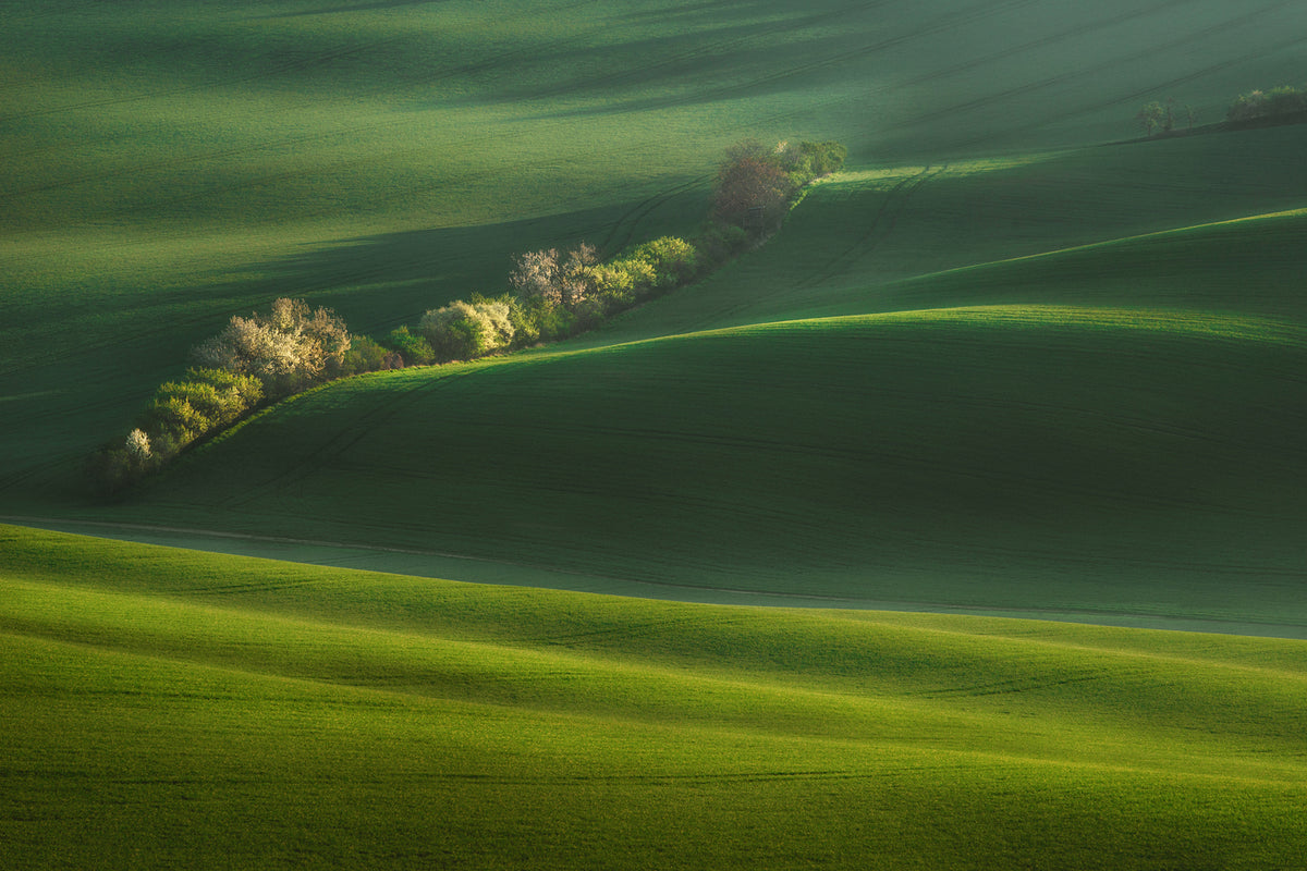 photo-wallpaper-moravian-fields-xio