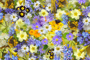 photo-wallpaper-fresh-spring-flowers