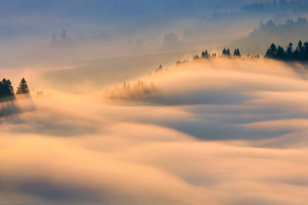 photo-wallpaper-misty-morning-a