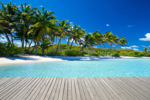 photo-wallpaper-beach-palms