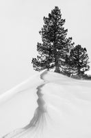 photo-wallpaper-about-the-snow-and-forms