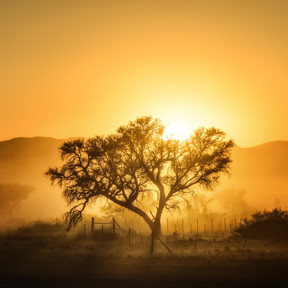 photo-wallpaper-golden-sunrise