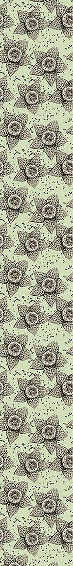 patterned-wallpaper-stapelia-flower