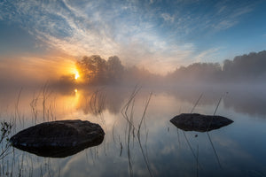 photo-wallpaper-morning-sun-x