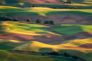 photo-wallpaper-colorful-palouse-x