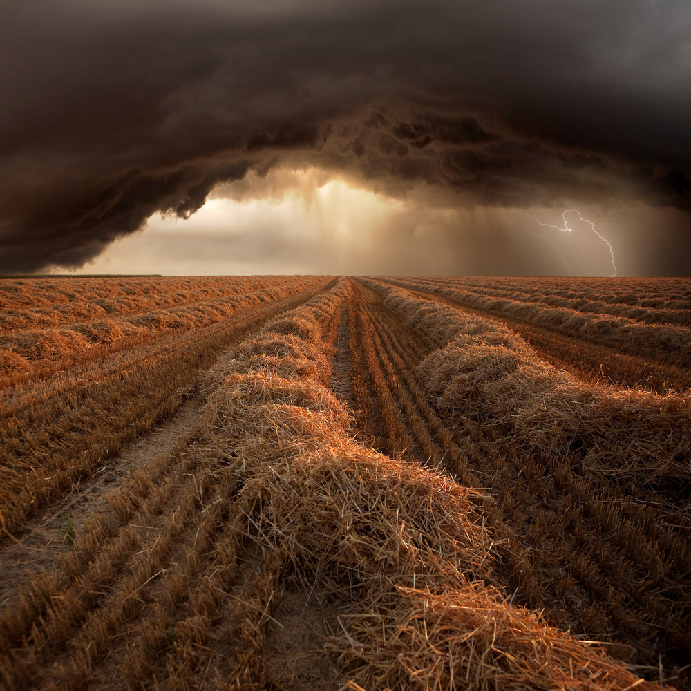 photo-wallpaper-storm-ii