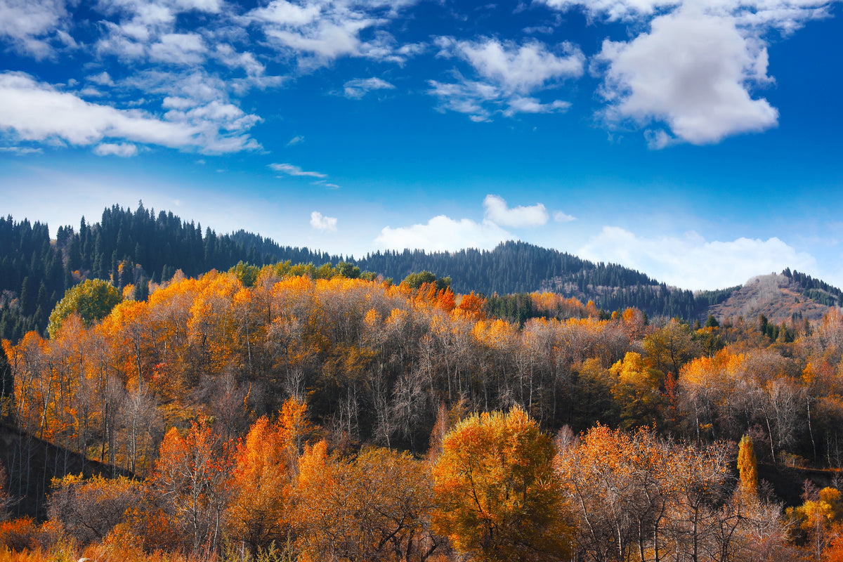 photo-wallpaper-clouds-gather