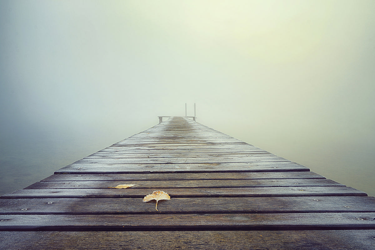 photo-wallpaper-cold-and-misty-morning-x