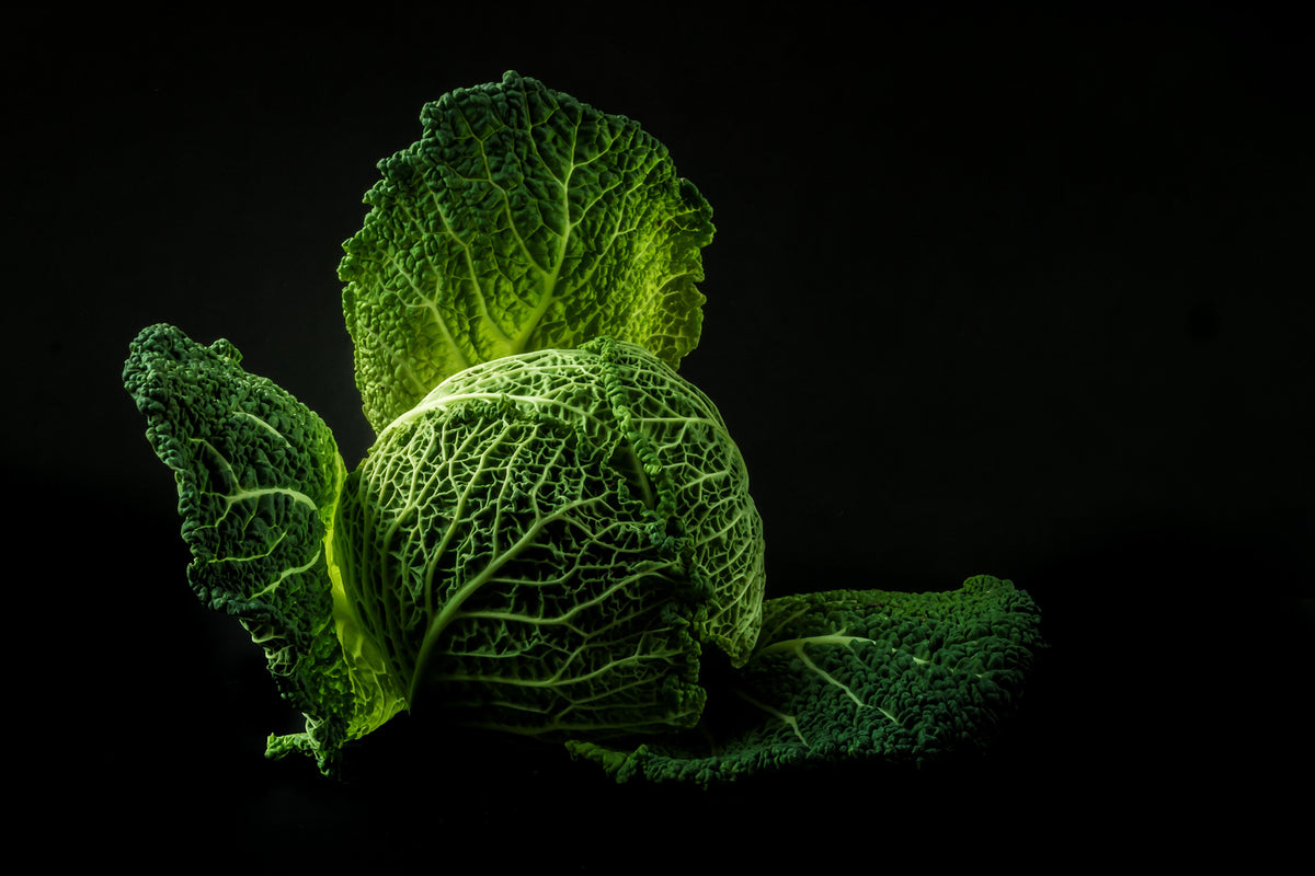 photo-wallpaper-the-cabbage