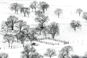 photo-wallpaper-bashang-winter