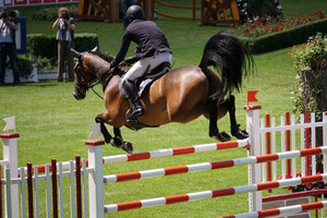 photo-wallpaper-the-show-jumper