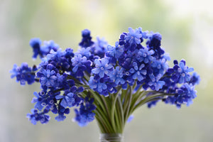 photo-wallpaper-a-bouquet-of-flowers