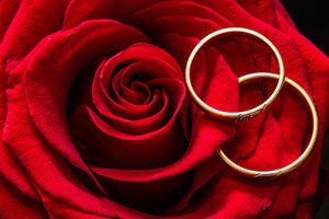 photo-wallpaper-wedding-rings-on-the-rose