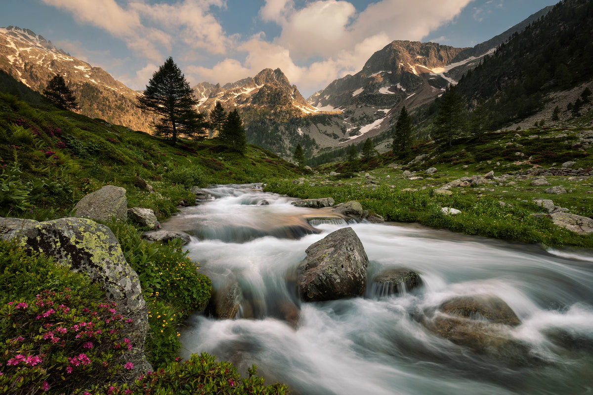 photo-wallpaper-maritime-alps-park-x