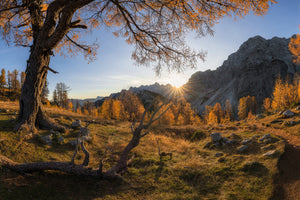 photo-wallpaper-autumn-paradise-x