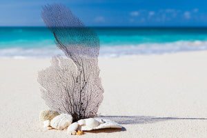 photo-wallpaper-beach-art