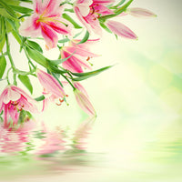 photo-wallpaper-lilies-on-water