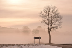 photo-wallpaper-mystic-mood-in-nature