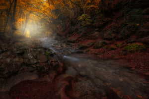 photo-wallpaper-the-season-of-the-fall-x