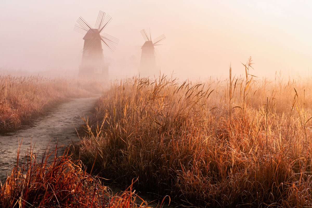 photo-wallpaper-morning-mist-x