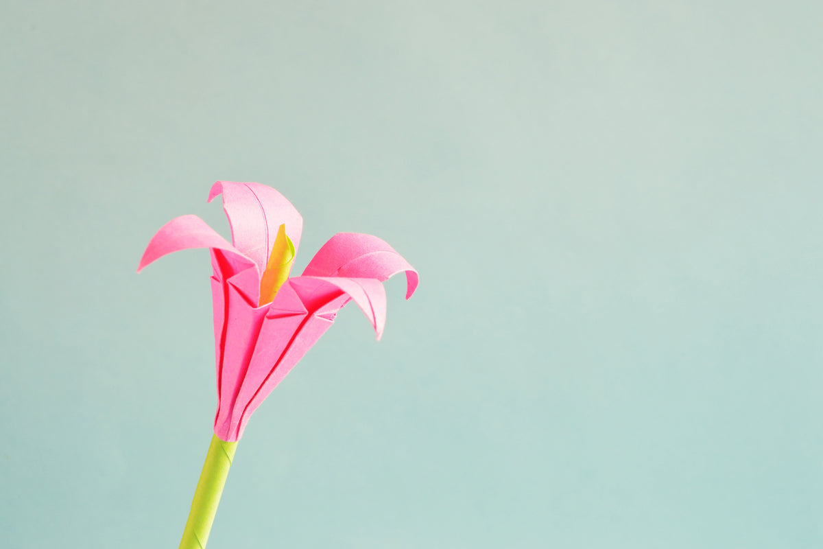 photo-wallpaper-flowers-origami