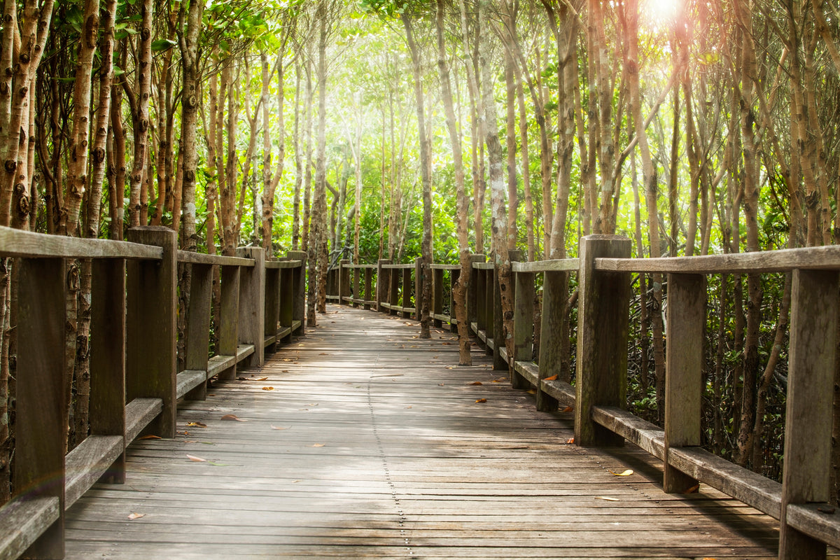 photo-wallpaper-wooden-bridge