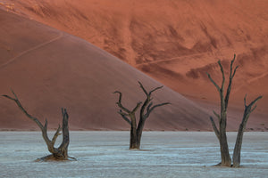 photo-wallpaper-deadvlei-xof