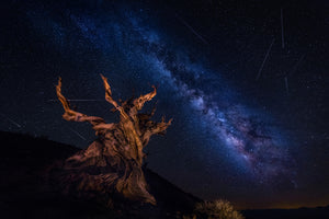 photo-wallpaper-shooting-stars-night