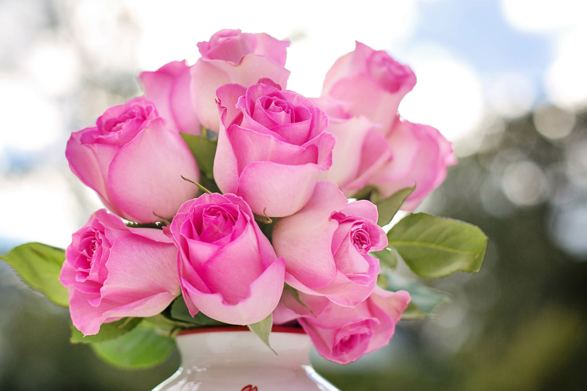 photo-wallpaper-bouquet-of-roses-in-pink