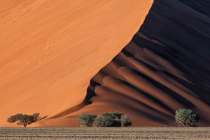 photo-wallpaper-life-in-the-desert-x