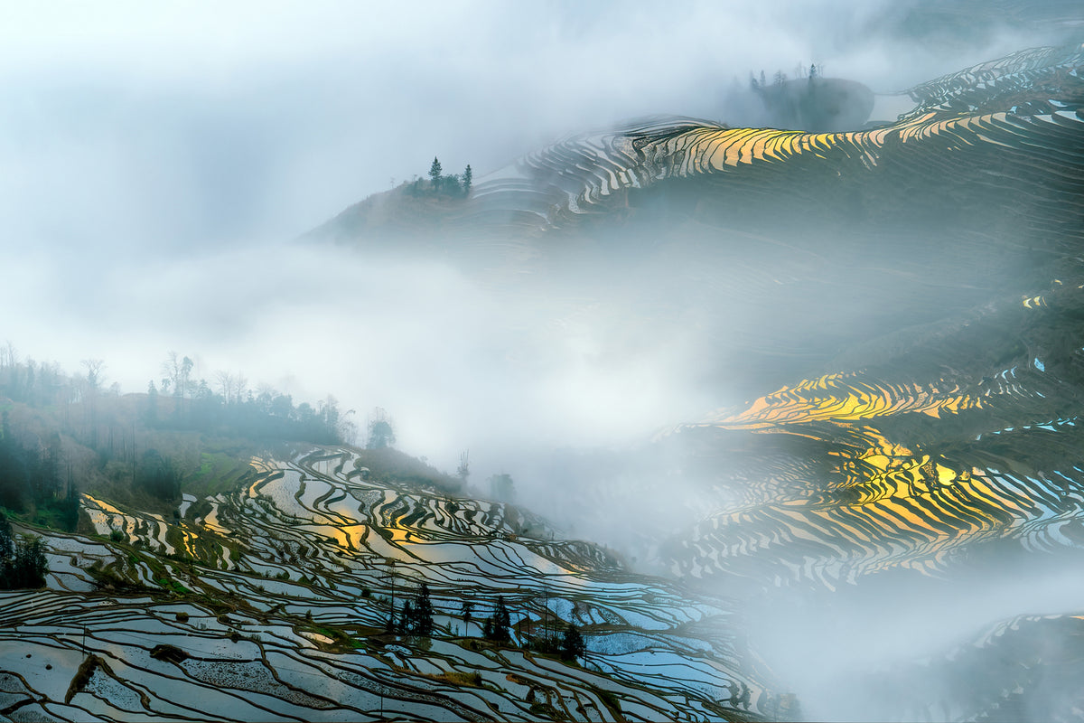 photo-wallpaper-yuan-yang-rice-terraces-x