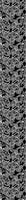 patterned-wallpaper-tendrillars-black-and-white