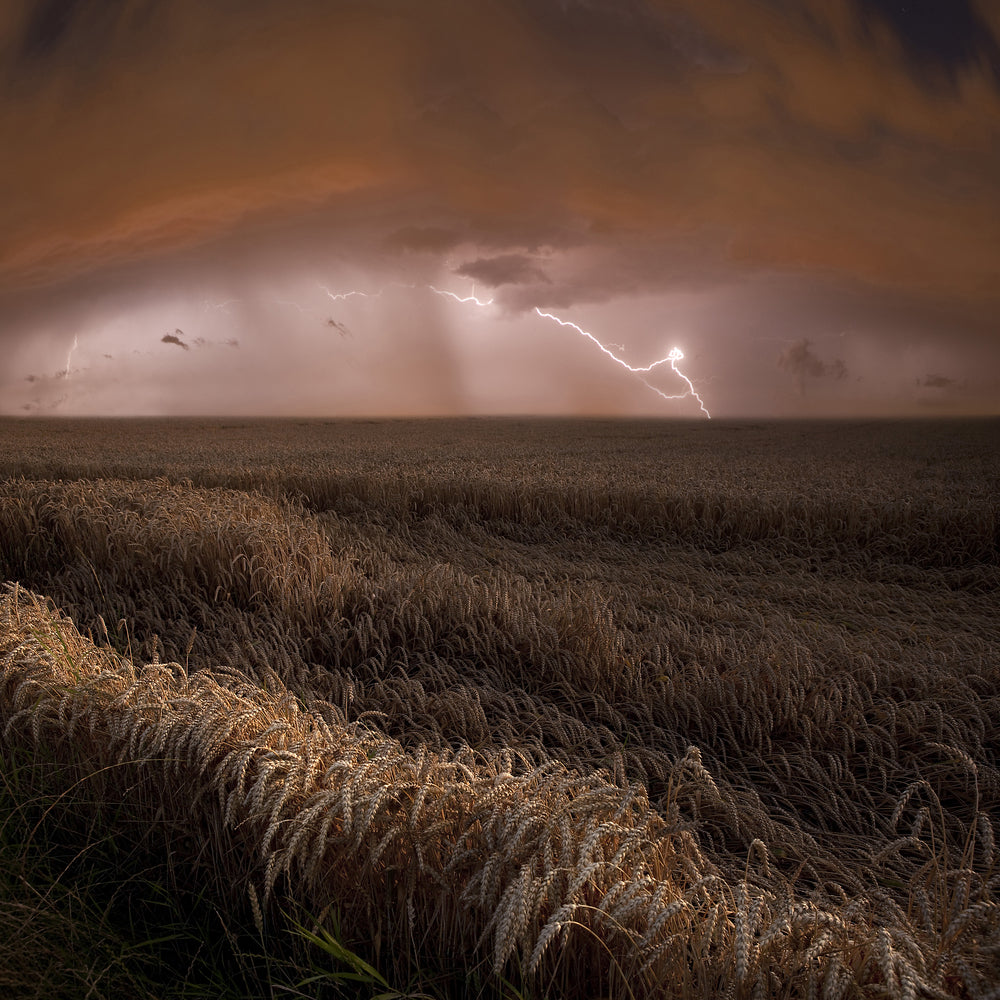 photo-wallpaper-harvest-lights