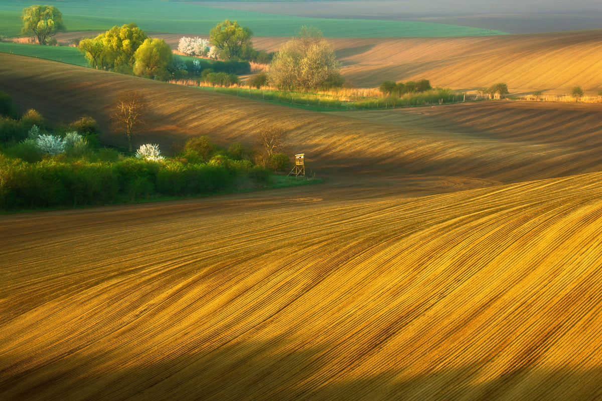 photo-wallpaper-fields-xxg