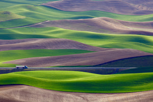 photo-wallpaper-driving-in-the-wheat-field-at-palouse-x