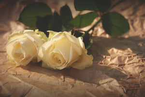 photo-wallpaper-the-purity-of-the-roses