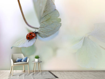 photo-wallpaper-ladybird-on-bluegreen-hydrangea-x