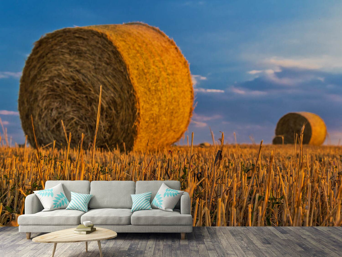 photo-wallpaper-straw-bales