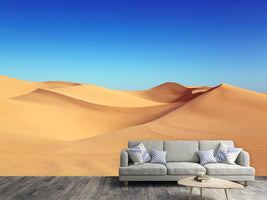 photo-wallpaper-beauty-desert