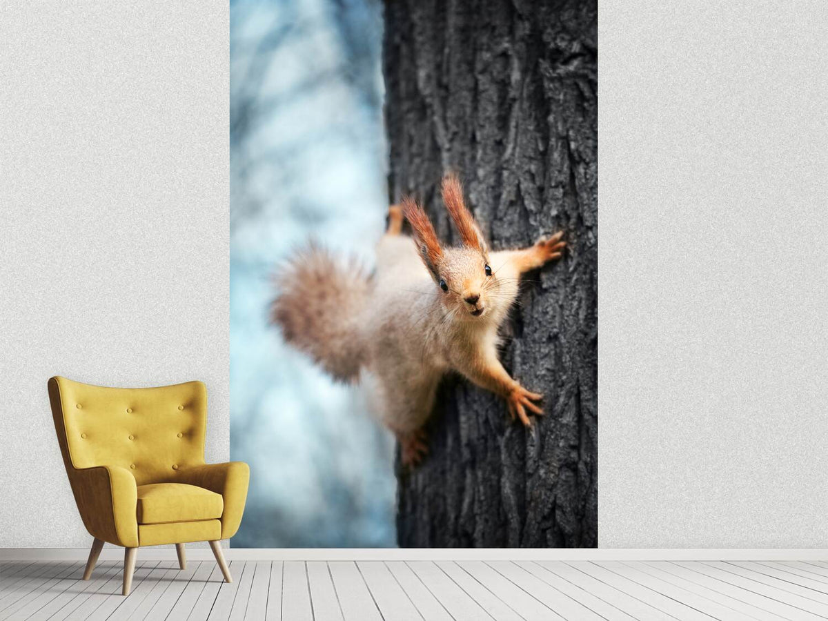 photo-wallpaper-the-squirrel