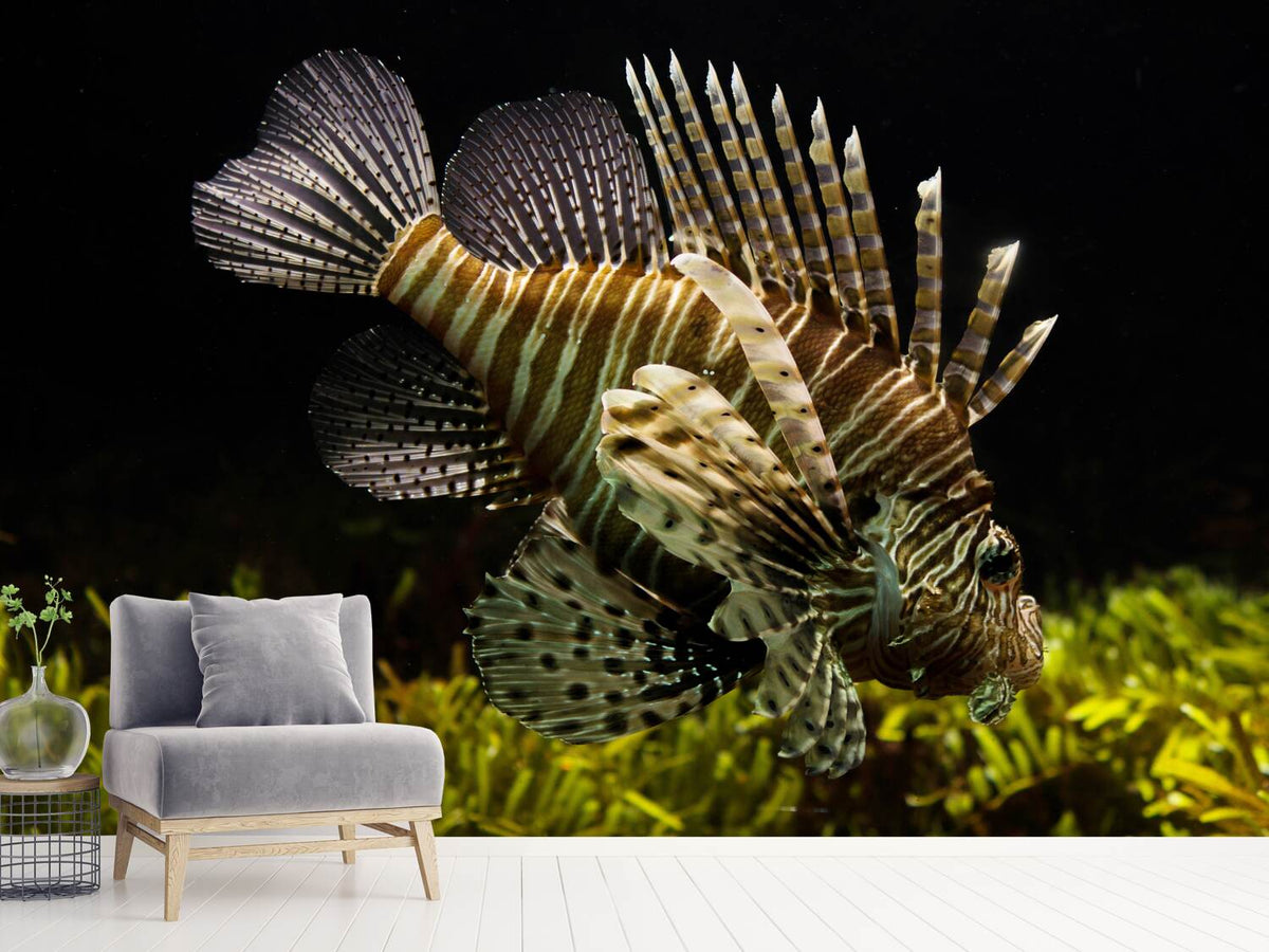 photo-wallpaper-lion-fish