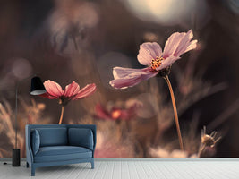 photo-wallpaper-flowers-of-innocence-x