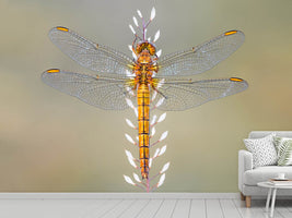 photo-wallpaper-dragonfly